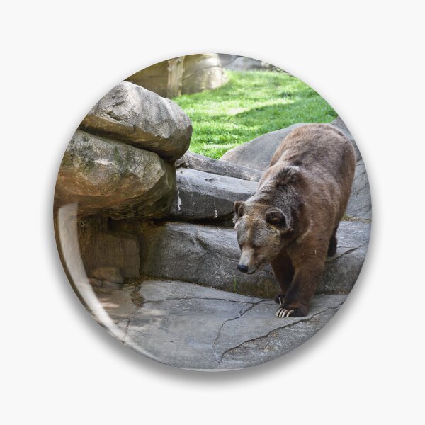 Item preview, Beautiful Grizzly Bear  designed and sold by sjohnson70.