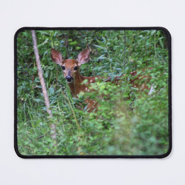 Item preview, Fawn hiding in the woods designed and sold by vernonite.