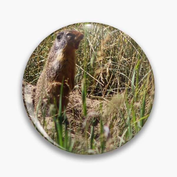 Item preview, Chirping Ground Squirrel designed and sold by vernonite.