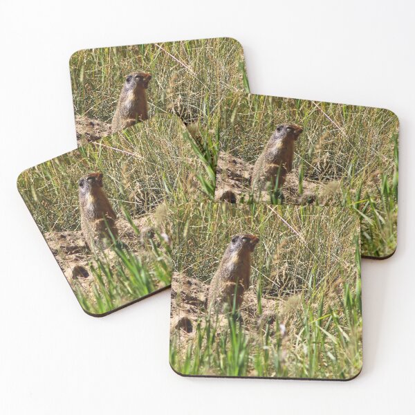 Item preview, Chirping Ground Squirrel designed and sold by vernonite.