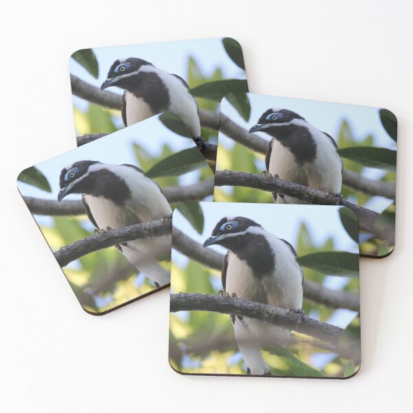 Item preview, Blue-faced Honeyeater designed and sold by Genevieve Hanlon Art and Photography.