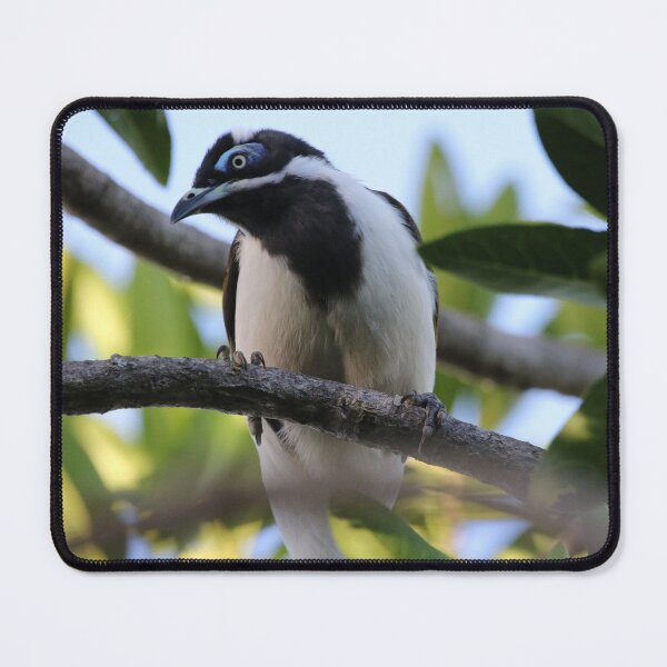 Item preview, Blue-faced Honeyeater designed and sold by Genevieve Hanlon Art and Photography.