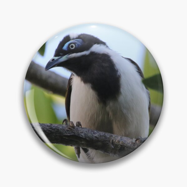 Item preview, Blue-faced Honeyeater designed and sold by Genevieve Hanlon Art and Photography.