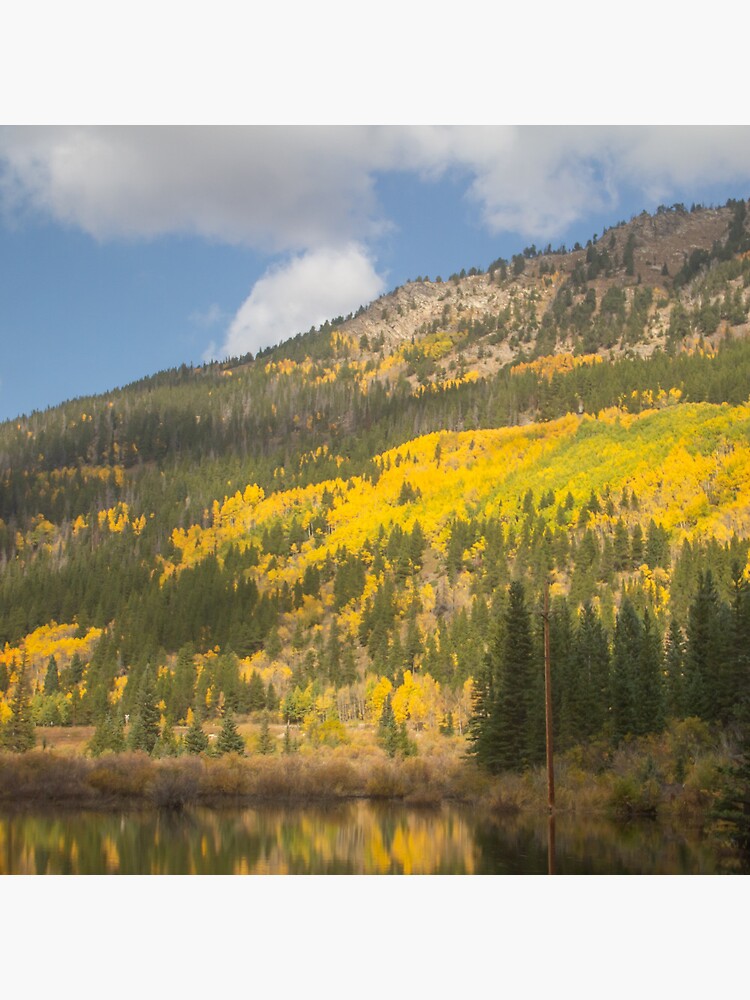 Pin on Fall colors