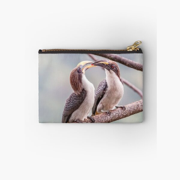 Item preview, Grey Hornbill Courtship Ritual designed and sold by Graham Prentice.