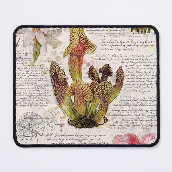 Item preview, Trumpet Pitcher Botanical Poster designed and sold by Elvenwings.