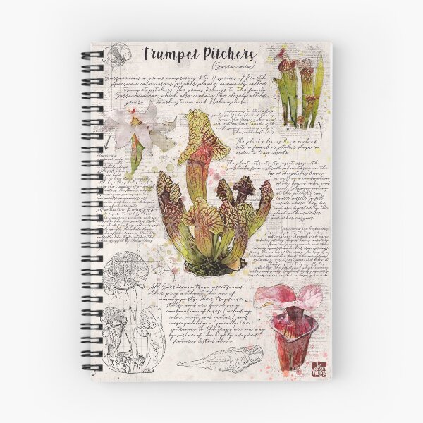 Item preview, Trumpet Pitcher Botanical Poster designed and sold by Elvenwings.