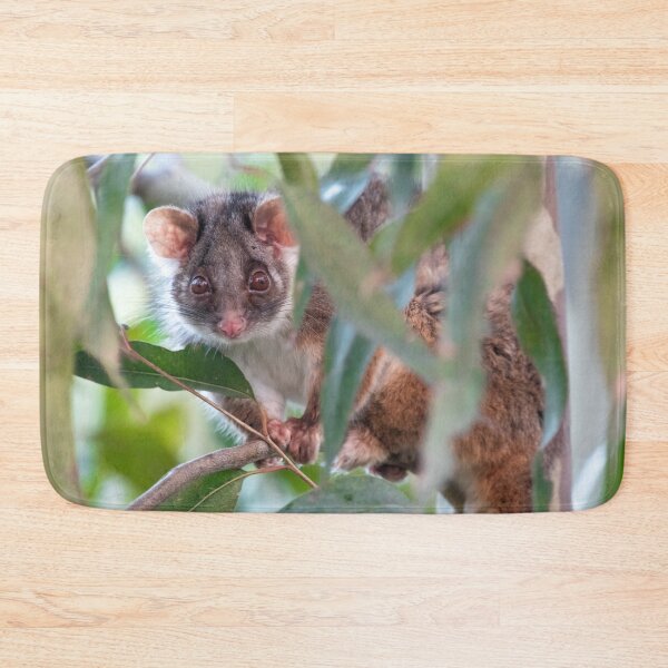 Item preview, Ringtail Possum - Ringtail Love in Colour - Australian Wildlife - Australia designed and sold by bella photoaus.