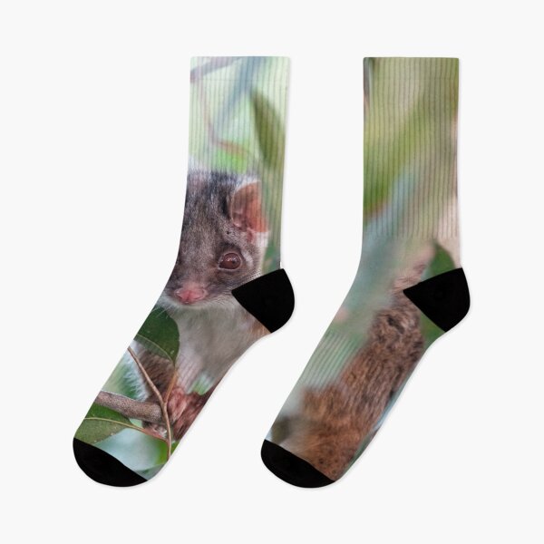 Item preview, Ringtail Possum - Ringtail Love in Colour - Australian Wildlife - Australia designed and sold by bella photoaus.