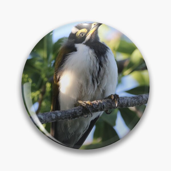 Item preview, Blue-faced Honeyeater (Juvenile) designed and sold by Genevieve Hanlon Art and Photography.