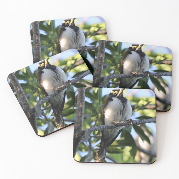 Item preview, Blue-faced Honeyeater (Juvenile) designed and sold by Genevieve Hanlon Art and Photography.