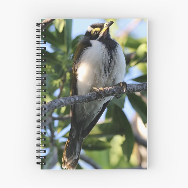 Item preview, Blue-faced Honeyeater (Juvenile) designed and sold by Genevieve Hanlon Art and Photography.