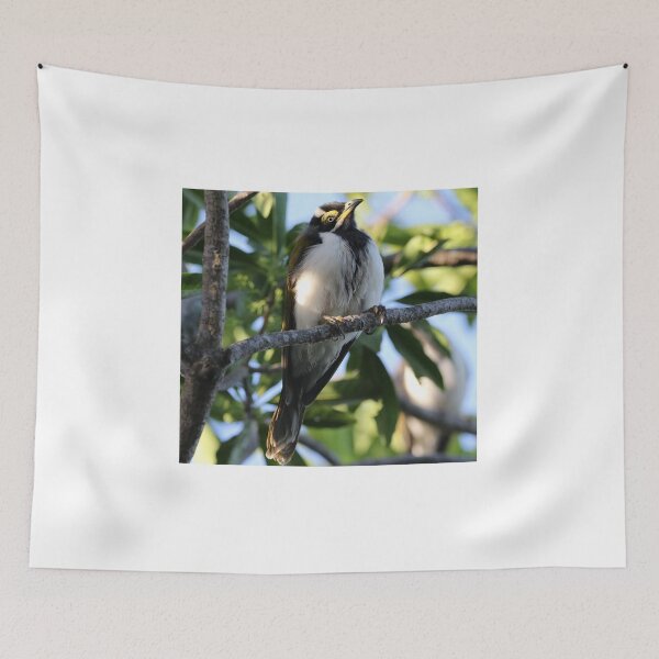 Item preview, Blue-faced Honeyeater (Juvenile) designed and sold by Genevieve Hanlon Art and Photography.