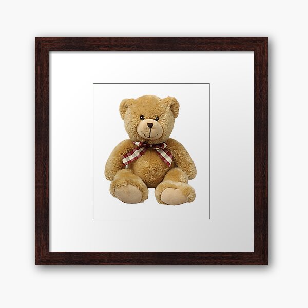 Teddy bear hot sale framed art