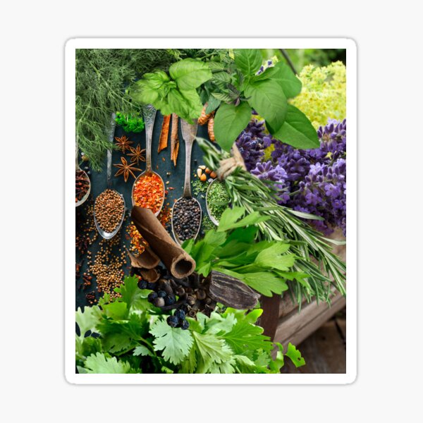 Item preview, Colorful Digital Photo Collage Herbs & Spices Design designed and sold by EarthArtDesigns.