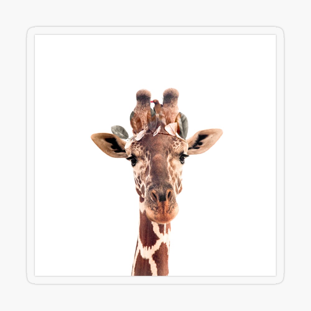 Giraffe Animal Snap Tab - Designs by Little Bee