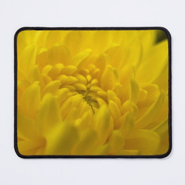 Item preview, Closeup of Yellow Dahlia Flower designed and sold by Sinemathk.