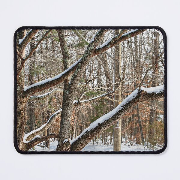 Item preview, Snow-Covered Branches designed and sold by SarahEL17.