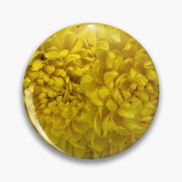 Item preview, Closeup of Yellow Dahlia Flowers designed and sold by Sinemathk.