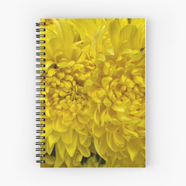 Item preview, Closeup of Yellow Dahlia Flowers designed and sold by Sinemathk.