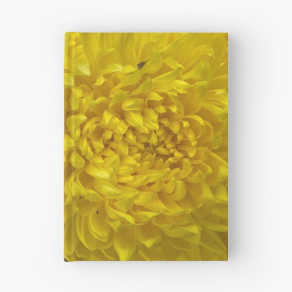 Item preview, Closeup of Yellow Dahlia Flowers designed and sold by Sinemathk.