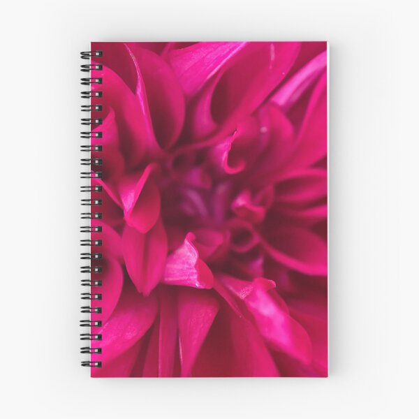Item preview, Closeup of a Pink, Purple Dahlia Flower designed and sold by Sinemathk.