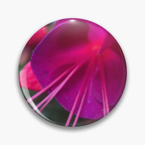Item preview, Closeup of a Purple Fuchsia Flower designed and sold by Sinemathk.