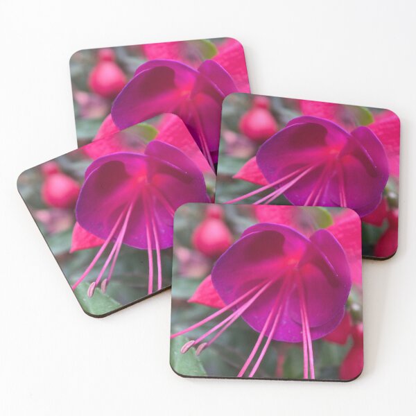 Item preview, Closeup of a Purple Fuchsia Flower designed and sold by Sinemathk.