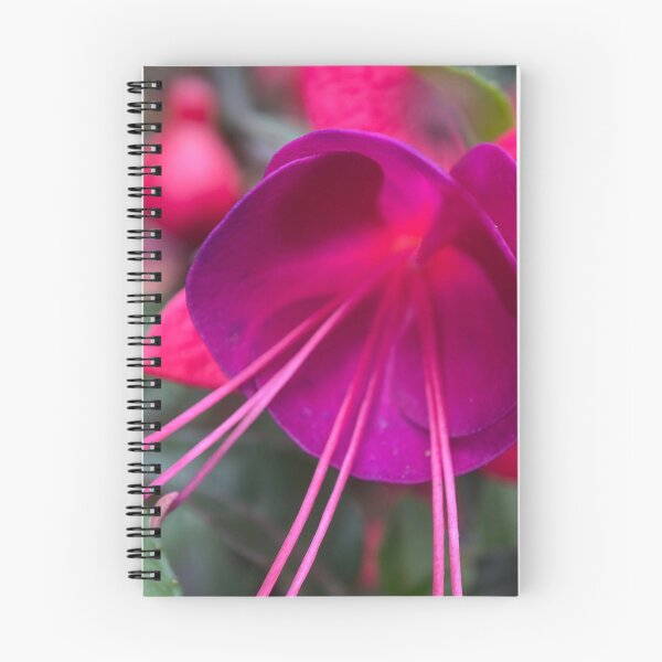 Item preview, Closeup of a Purple Fuchsia Flower designed and sold by Sinemathk.