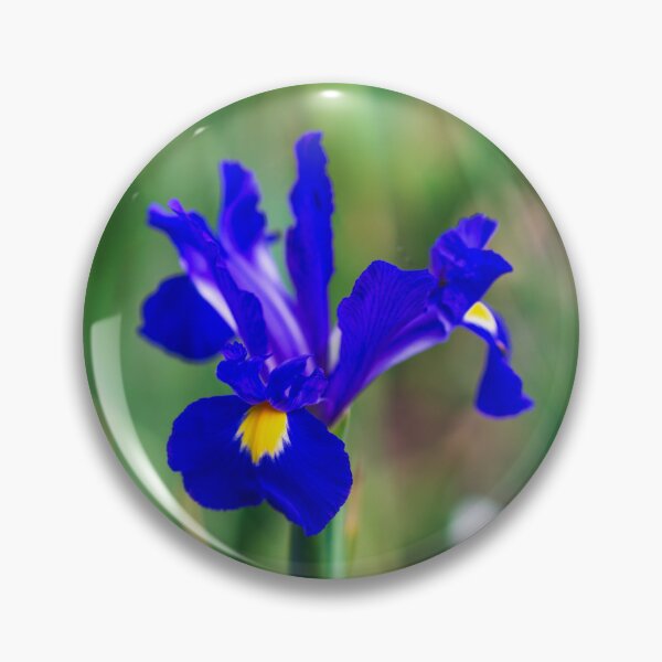 Item preview, Blue iris designed and sold by noblephoto.