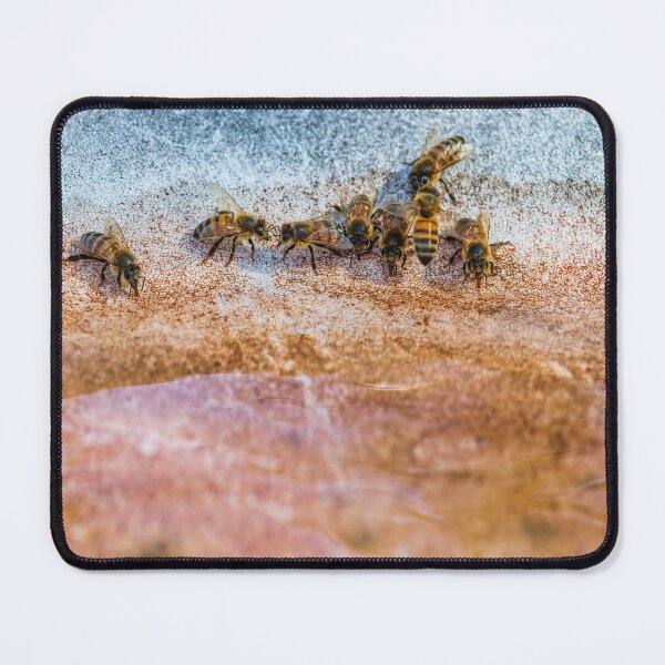 Item preview, Bees drinking in the summar designed and sold by noblephoto.