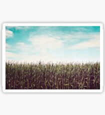 Cornfield Sticker