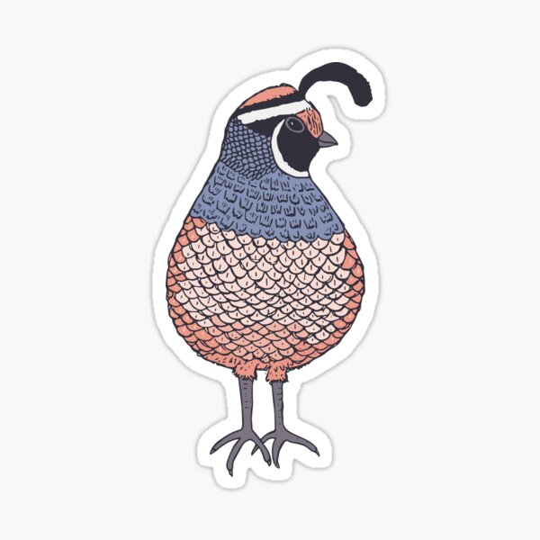 Item preview, Quail and Wild Roses designed and sold by Jacqueline Hurd.