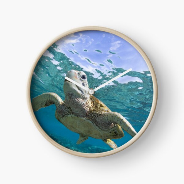 Turtle grin Clock