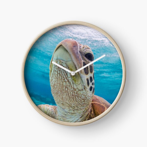 Turtle close-up Clock