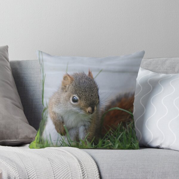 Item preview, Red Squirrel Baby  designed and sold by Lynda   McDonald.