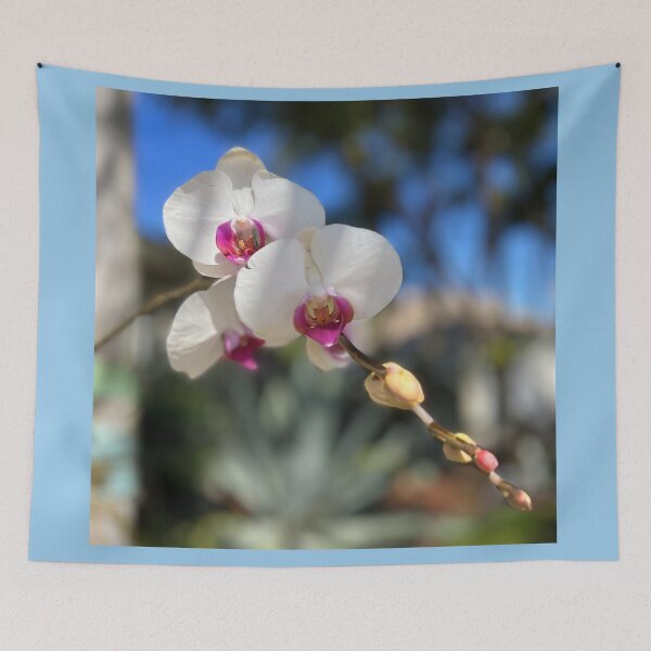 Item preview, White Orchid Trio Pink Centers designed and sold by KarenZuk.