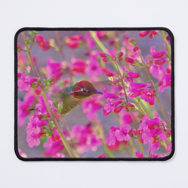 Item preview, Peeking Through the Pink Penstemons designed and sold by K D Graves Photography.