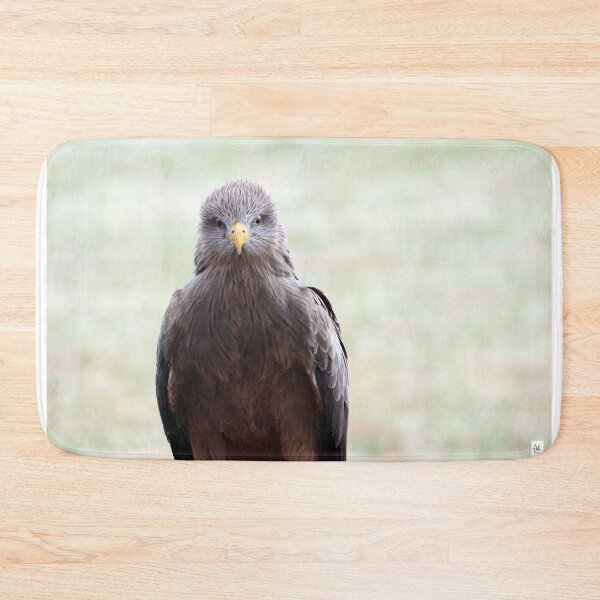 Item preview, Black Kite Staredown designed and sold by MADowdPhotos.
