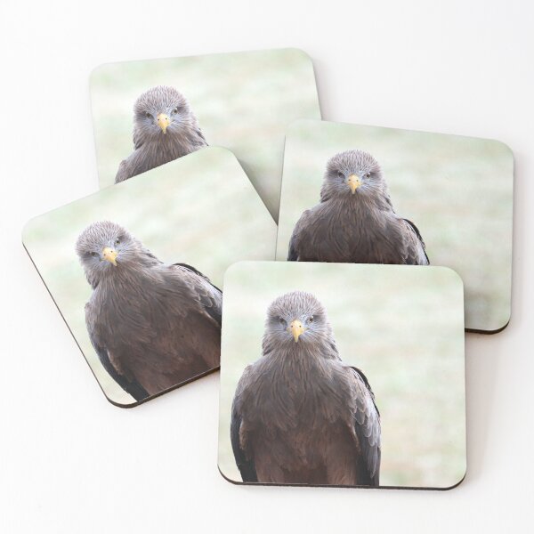 Item preview, Black Kite Staredown designed and sold by MADowdPhotos.