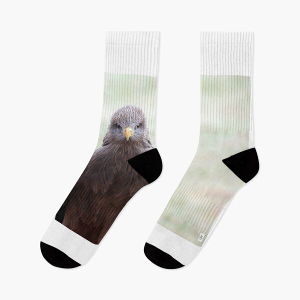 Item preview, Black Kite Staredown designed and sold by MADowdPhotos.