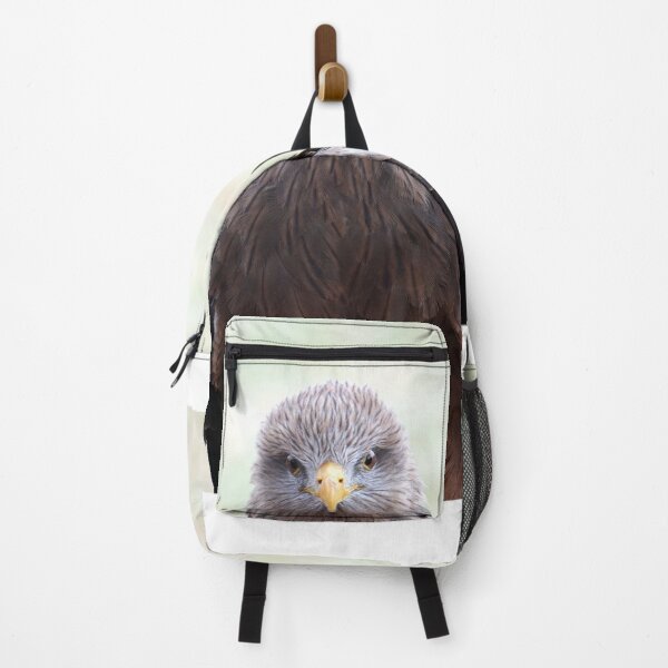 Item preview, Black Kite Staredown designed and sold by MADowdPhotos.
