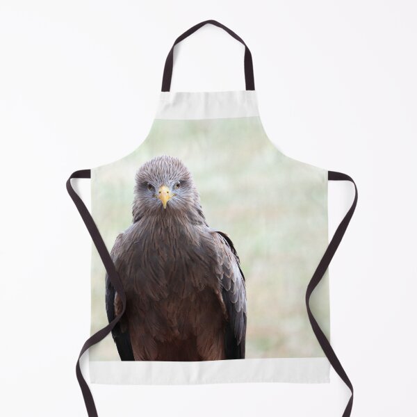 Item preview, Black Kite Staredown designed and sold by MADowdPhotos.