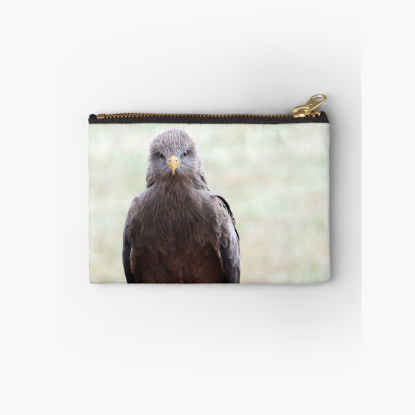 Item preview, Black Kite Staredown designed and sold by MADowdPhotos.