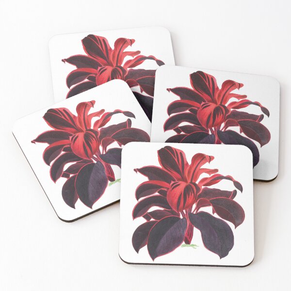 Item preview, Hand-drawn Hawaiian Ti Plant (Cordyline  Fruticosa) designed and sold by designmehappy.