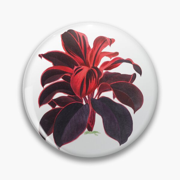 Item preview, Hand-drawn Hawaiian Ti Plant (Cordyline  Fruticosa) designed and sold by designmehappy.