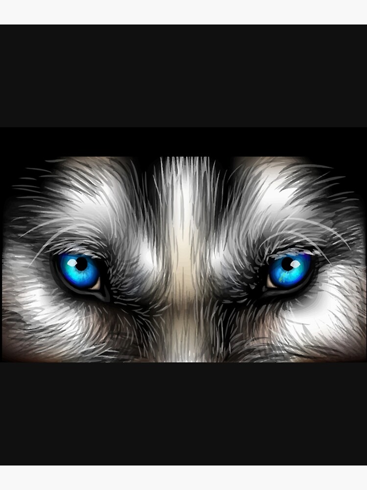 "Black Wolf With Blue Eyes " Poster for Sale by Magicideag Redbubble