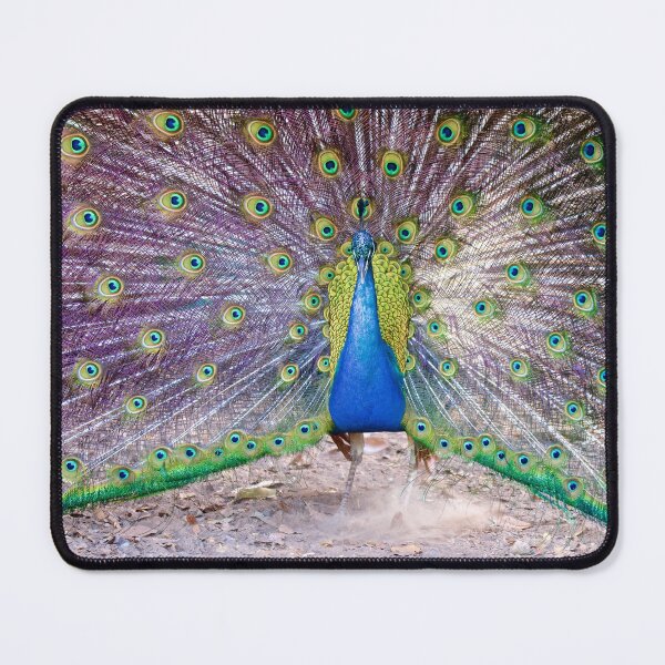 Item preview, NT ~ EXOTIC ~ Blue Peacock Y4NjGEA8 by David Irwin designed and sold by tasmanianartist.