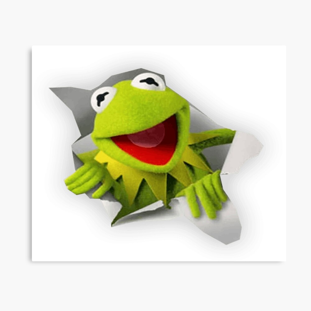 Kermit The Frog Photographic Print For Sale By Moyassar Redbubble