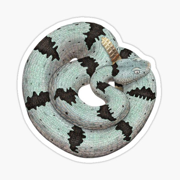 Item preview, Banded Rock Rattlesnake designed and sold by CatchItCreation.